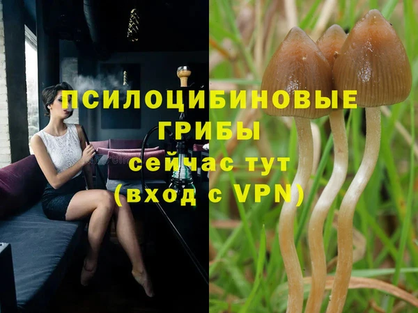 стаф Алексеевка