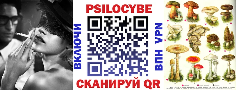 Псилоцибиновые грибы Magic Shrooms  Ардатов 